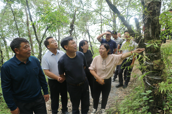 07调研石斛产业（李长明摄）.jpg