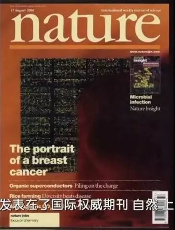 nature.jpg