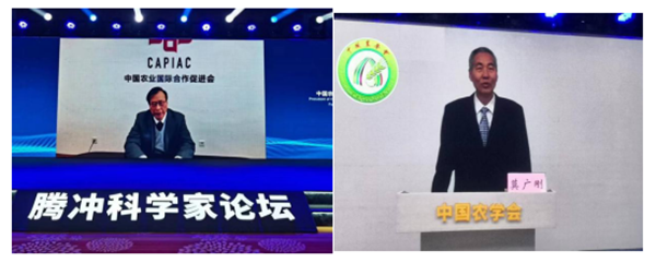 科创组图.png