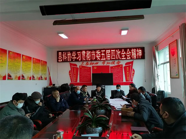 镇雄.jpg