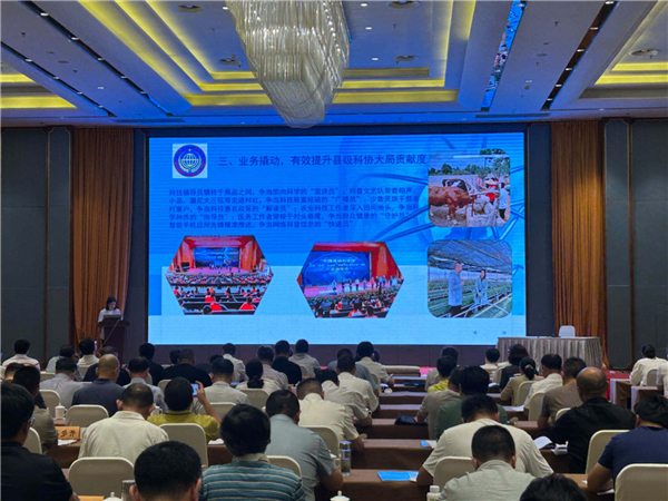 石林1.jpg