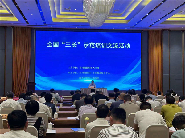 石林2.jpg